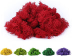 Fake Moss Preserved Reindeer Moss 3.5 OZ by DAZUINIAO