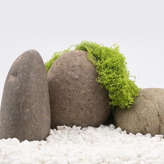 20 LBS Large Natural River Rocks，3-4 Inch Decorative Large River Rocks - Image 5