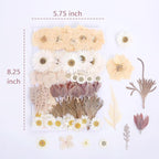 100 PCS Real Dried Pressed Flowers Leaves Natural Plant Herbarium - Image 3