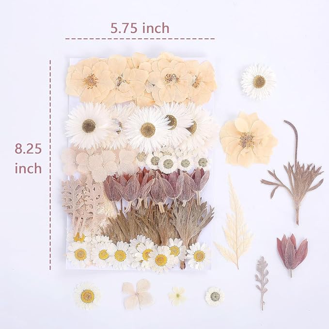 100 PCS Real Dried Pressed Flowers Leaves Natural Plant Herbarium - Image 3