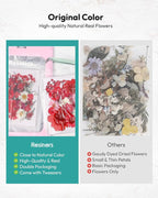 Dried Flowers, Resiners 174Pcs Pressed Flowers - Image 9