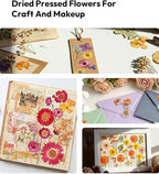 Dried Flowers, Resiners 100Pcs Pressed Flowers - Image 9