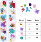 Dried Flowers for Nail Art Resin Jewelry Crafts - Image 2