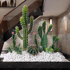 FANTIAN 20 lbs White Rocks for Landscaping, 2-3 Inch Large River Rocks. - Image 7