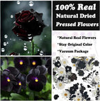 94 Pcs Black Pressed Dried Flowers - Image 2