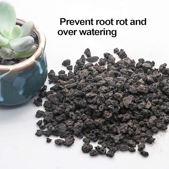 TOYPOPOR Black Horticultural Lava Rock Soil Additive - Image 3