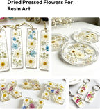 Dried Flowers, Resiners 100Pcs Pressed Flowers - Image 7