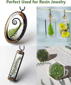 48 Pcs Mix Natural Dried Pressed Ferns - Image 4