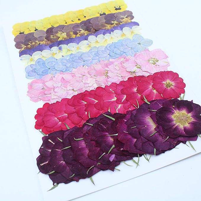 49 Pcs Dried Pressed Flowers for Crafts Art Resin DIY Natural Dry Pansy Rose - Image 3