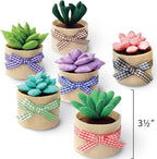 Glittery Garden Felt Succulent Craft Kit. Sewing Project to Make 6 Plushies | - Image 4