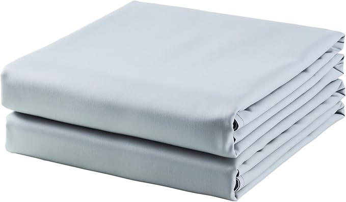 2-Pack Cotton Queen Flat Sheet Only, 600 Thread Count 100% Egyptian Cotton Top by ZaizaiHome