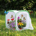 Insect & Butterfly Habitat Cage, Portable Pop-Up Terrarium - Image 6