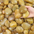 FANTIAN 5 lbs Yellow River Rocks, 2-3 Inch Large Pebbles by FANTIAN-GardeningMakesLifeBetter
