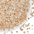 5 lbs Coarse Sand for Plants, 1/5 Inch Horticultural Sand for Succulents by GardenSteward