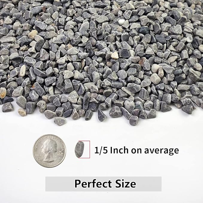 YISZM 5LB Succulent and Cactus Gravel Pebbles, 1/5 Inch Natural Decorative - Image 2