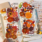 141PCS Brown Fall Dried Pressed Flowers - Image 2