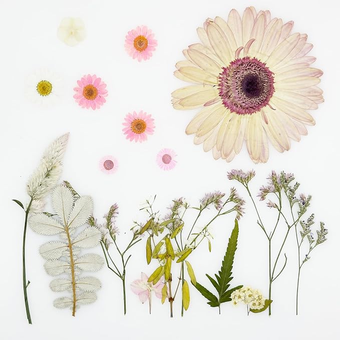 Woohome 44 PCS Pressed Flowers Natural Dried Flowers Pink Resin Flowers Real - Image 4