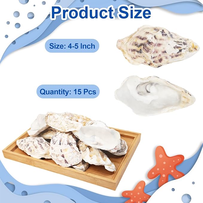 15PCS Natural Oyster Shells 4-5 in Uncarved Oyster Shells - Image 2