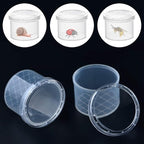 Coopay 20 Pcs Bug Jars Critter Insect Cage Magnifying Insect Box Bug Magnifier - Image 4