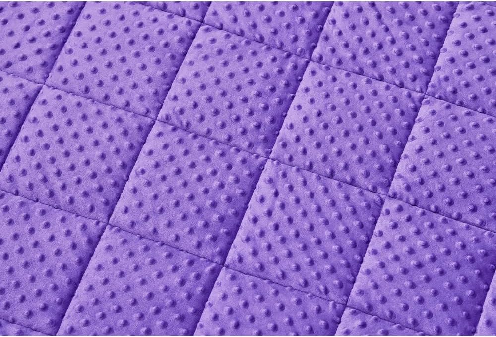 TONGDADA Minky Weighted Blanket | 40''x60'', 7lbs | Cozy and Soft Minky - Image 8