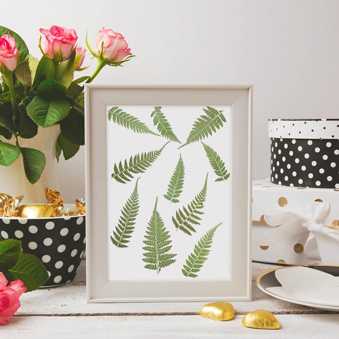 Fabbay 200 Pcs Pressed Dried Flowers Leaves Real Natural Ferns Dried Leaves - Image 4