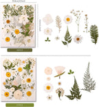 110+PCS Pressed Flowers for Resin, Colorful-i | Real Dried Flower Leaves - Image 4