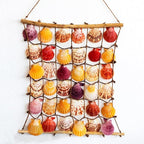 30 PCS+ Scallop Shells Natural Seashell, 1.5"-2.5" Colorful Scallop Shells - Image 4