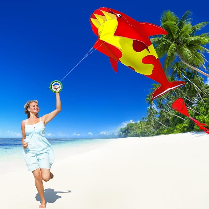HENGDA KITE 3D Kite for Kids and Adults, Excellent Fabric and Structure - Image 4