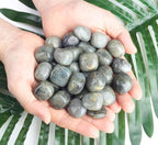 DUQGUHO Rainbow Moonstone Crystals Healing Crystal Stones Set Natural Crystals - Image 6