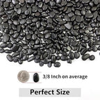 YISZM 10LB Succulent and Cactus Black Pebbles, 3/8 Inch Natural Decorative - Image 3