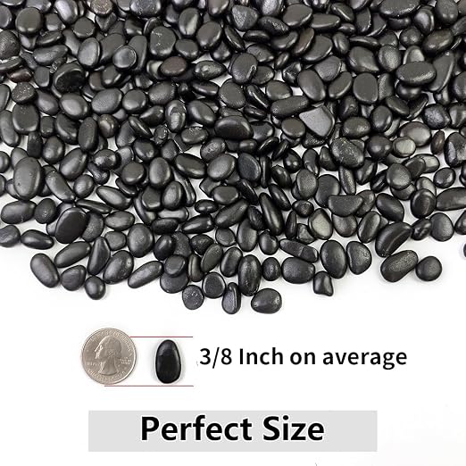 YISZM 10LB Succulent and Cactus Black Pebbles, 3/8 Inch Natural Decorative - Image 3