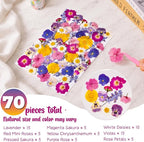 70 Pcs 11kinds Edible Dried Pressed Flowers - Image 4