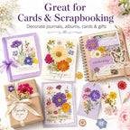 173 pcs Dried Flowers for Resin, Natural Flowers and Leaves Kit - Image 5