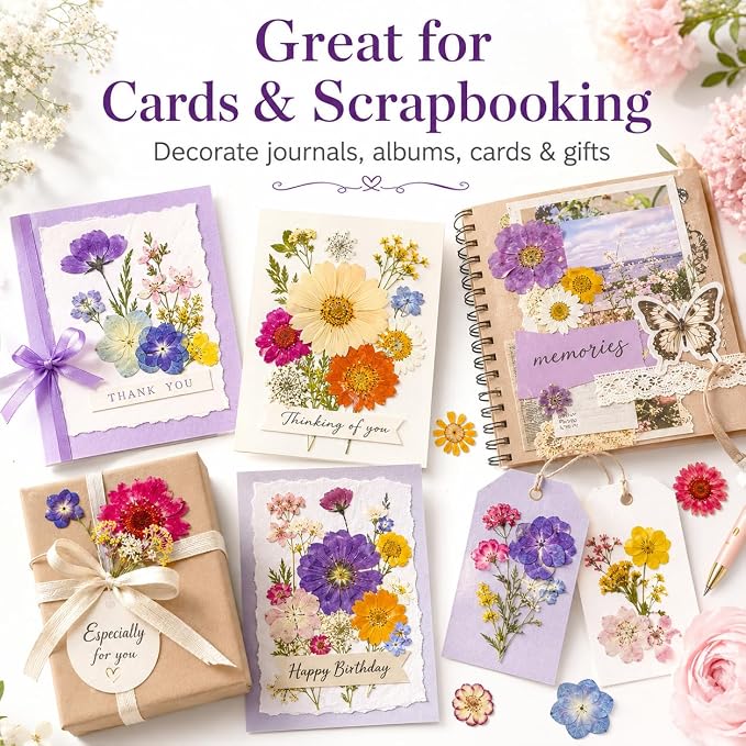 173 pcs Dried Flowers for Resin, Natural Flowers and Leaves Kit - Image 5