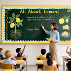 69 Feet Lemon Zest Border Bulletin Board Summer Lemon Slices Juice Scalloped - Image 4