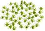 Yetaha 50pcs Green Shrubs Bush Model, Aritificial Plants, Railway Wargame Park by Yetaha