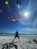 HONBO Large Delta Kite for Kids & Adults, Extremely Easy to Fly Kite for Beach - Image 3