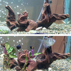 Hamiledyi Aquarium Driftwood 3PCS Natural Trunk Driftwood Assorted Branches - Image 7