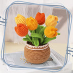 kgxulr Crochet Kit for Beginners, Crochet Kit Beginner Crochet Starter Kit for - Image 5
