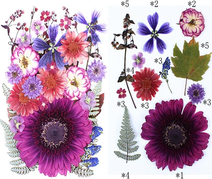 35Pcs Dried Pressed Flowers for Crafts Resin DIY Art Natural Dry Floral Large - Image 5