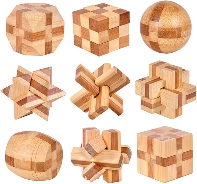VolksRose 9pcs Wooden Brain Teaser Puzzles, IQ Challenge Puzzle Games, Logic by VolksRose
