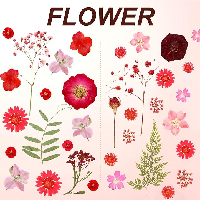 Dried Pressed Flowers Real Pressed Flowers Natural Dry Leaves Bulk Mixed - Image 3