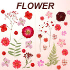 Dried Pressed Flowers Real Pressed Flowers Natural Dry Leaves Bulk Mixed - Image 3