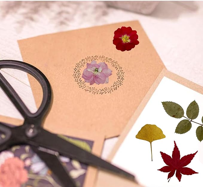 Woohome 78PCS Natural Dried Pressed Flowers and Natural Dried Pressed Leaves - Image 5
