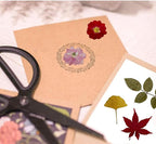 Woohome 78PCS Natural Dried Pressed Flowers and Natural Dried Pressed Leaves - Image 5