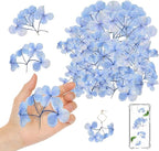 HEISENLIN Blue Dried Pressed Flowers Hydrangea by HEISENLIN