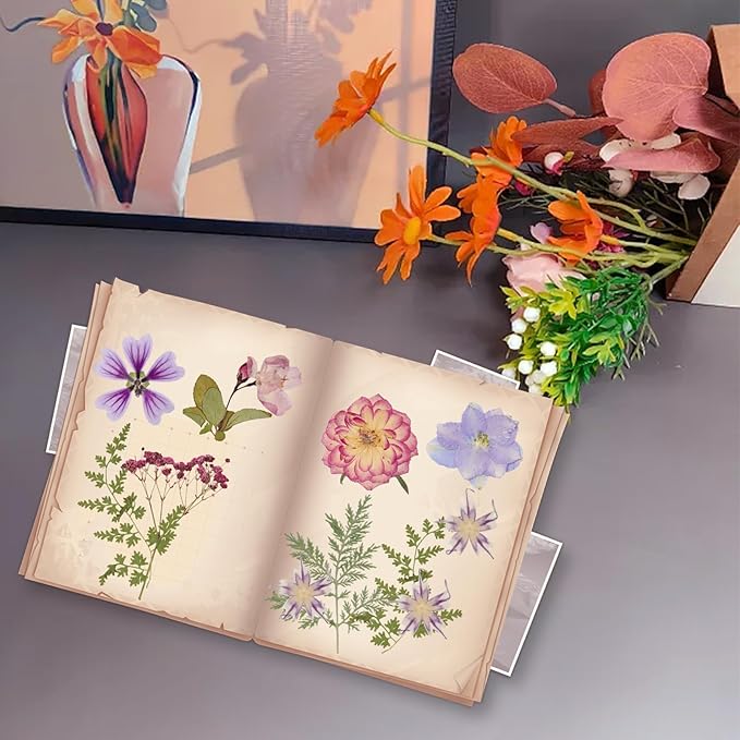 50Pcs Dried Pressed Flowers Resin Mould Real Pressed Flowers Natural Dry Leaves - Image 6