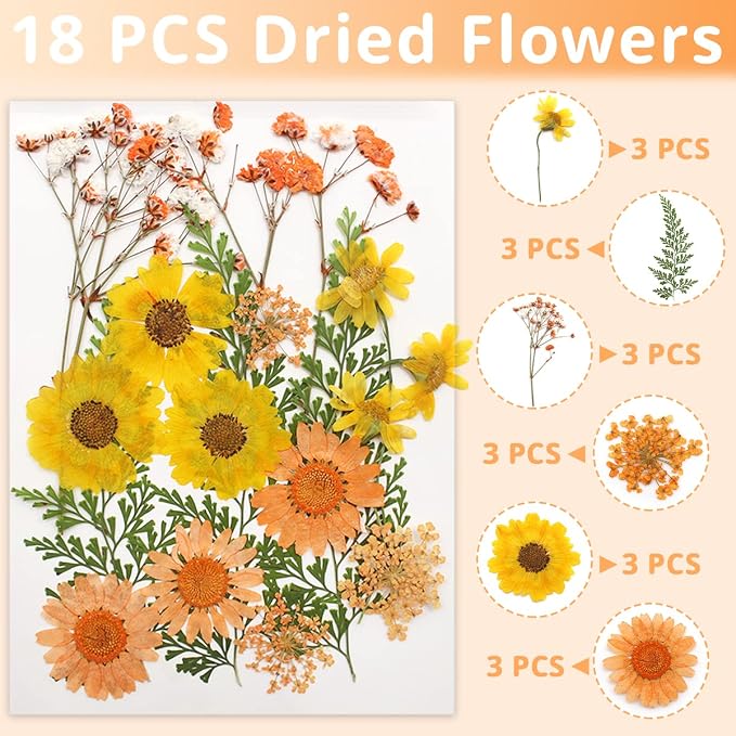 54 Pcs Real Dried Pressed Flowers and Leaves Natural Dried Petals Greenery - Image 4