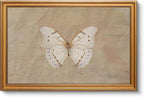 VIYYIEA Vintage Gold Framed Wall Art by VIYYIEAART