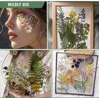 204 Pcs Dried Pressed Flowers for Resin Crafts, Real Natural Pressed Flowers - Image 6
